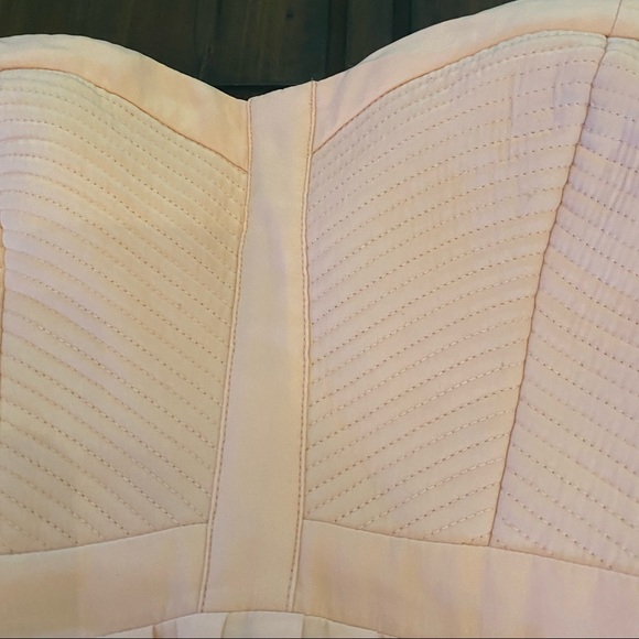 Parker Black Blush Pink Silk Gown - Picture 6 of 15